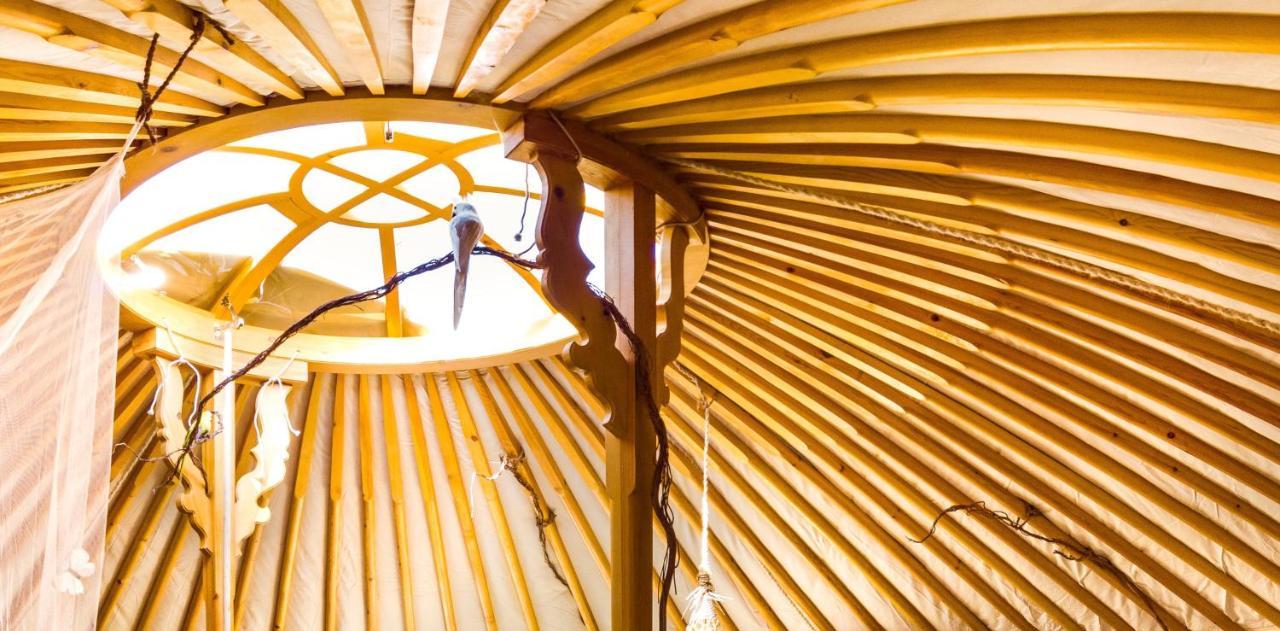 2 Cuori E 1 Yurta Glamping In Tuscany - Adults Only Ашано Экстерьер фото